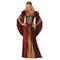 Elegant Womens Medieval Maiden Costume Full Length Gown with Headpiece